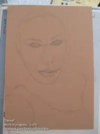 Senna WIP 1 / 6: Outline