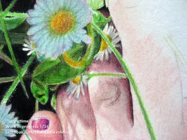 Springtime Feet WIP 5 / 16: Another closeup